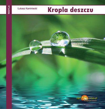 Kropla deszczu