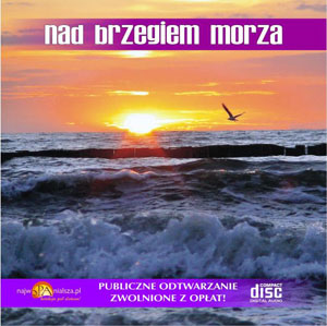 Nad brzegiem morza
