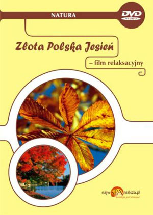 Złota Polska Jesień - film relaksacyjny