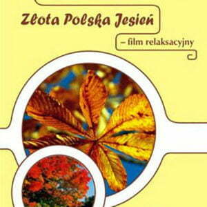 Złota Polska Jesień – film relaksacyjny