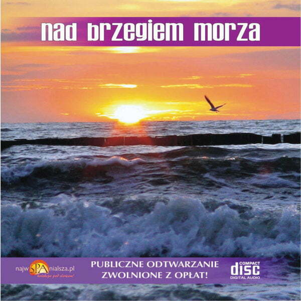 Nad brzegiem morza