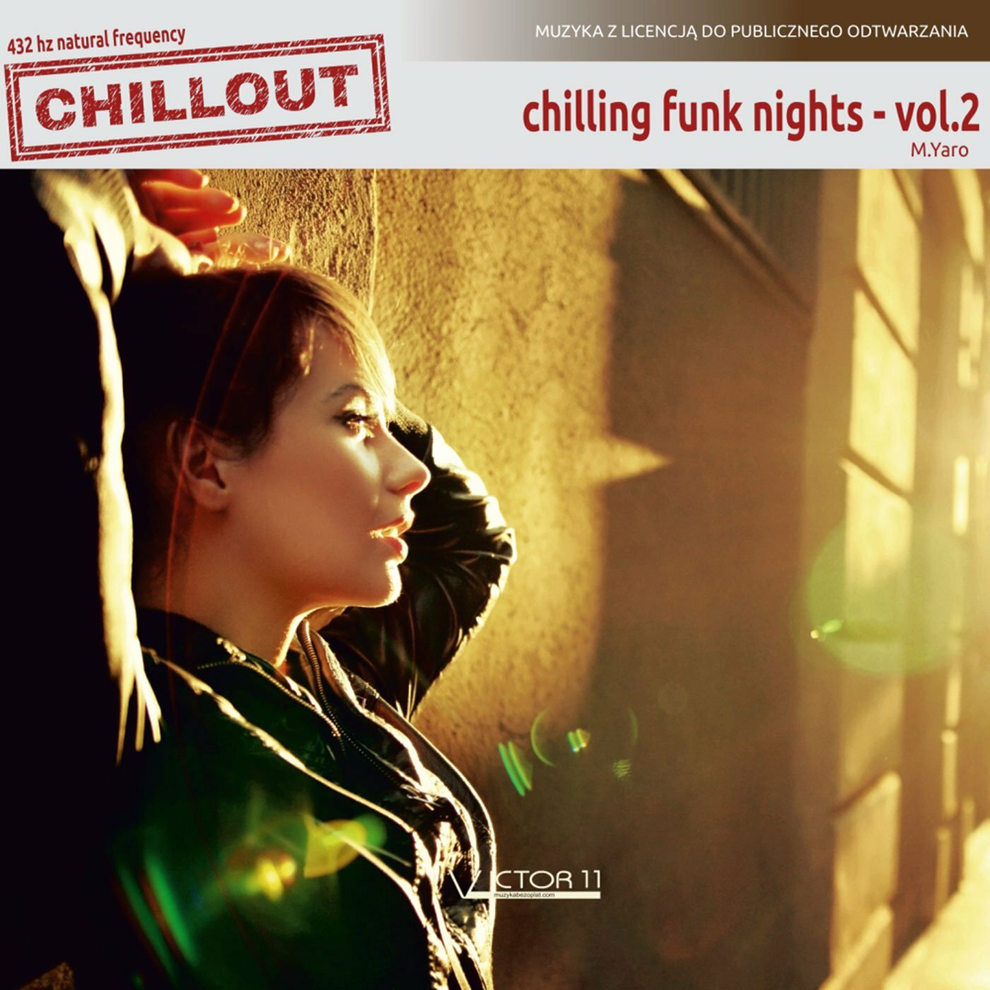 Chilling Funk Nights 2