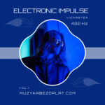 Electronic Impulse 1