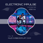 Electronic Impulse 10