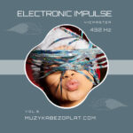 Electronic Impulse 5