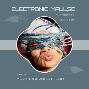 Electronic Impulse 5