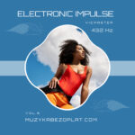 Electronic Impulse 6