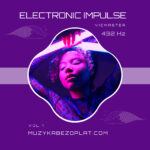 Electronic Impulse 7