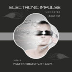 Electronic Impulse 9